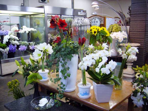 「ハナマツ」　（熊本県熊本市中央区）の花屋店舗写真2